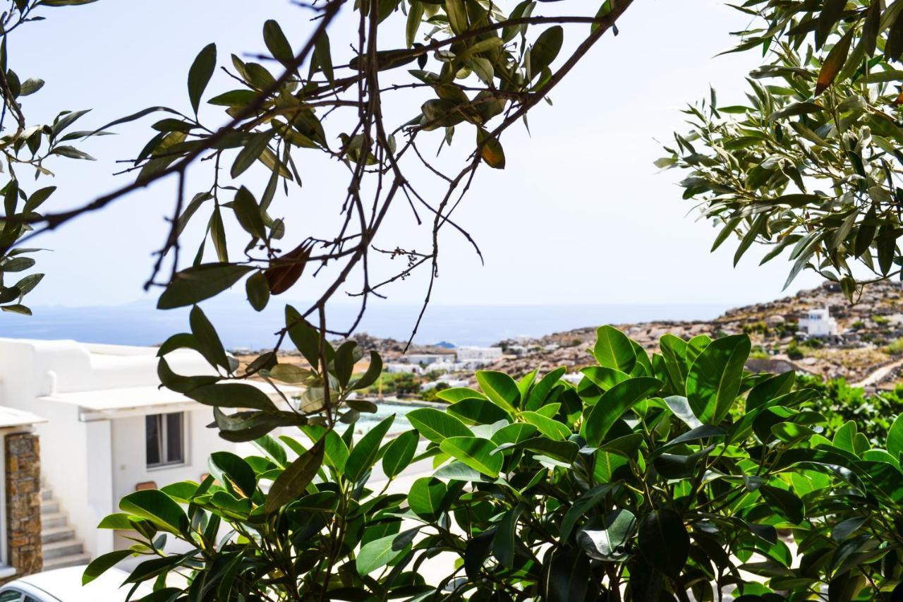 Elma'S Summerhouses Mykonos Town المظهر الخارجي الصورة